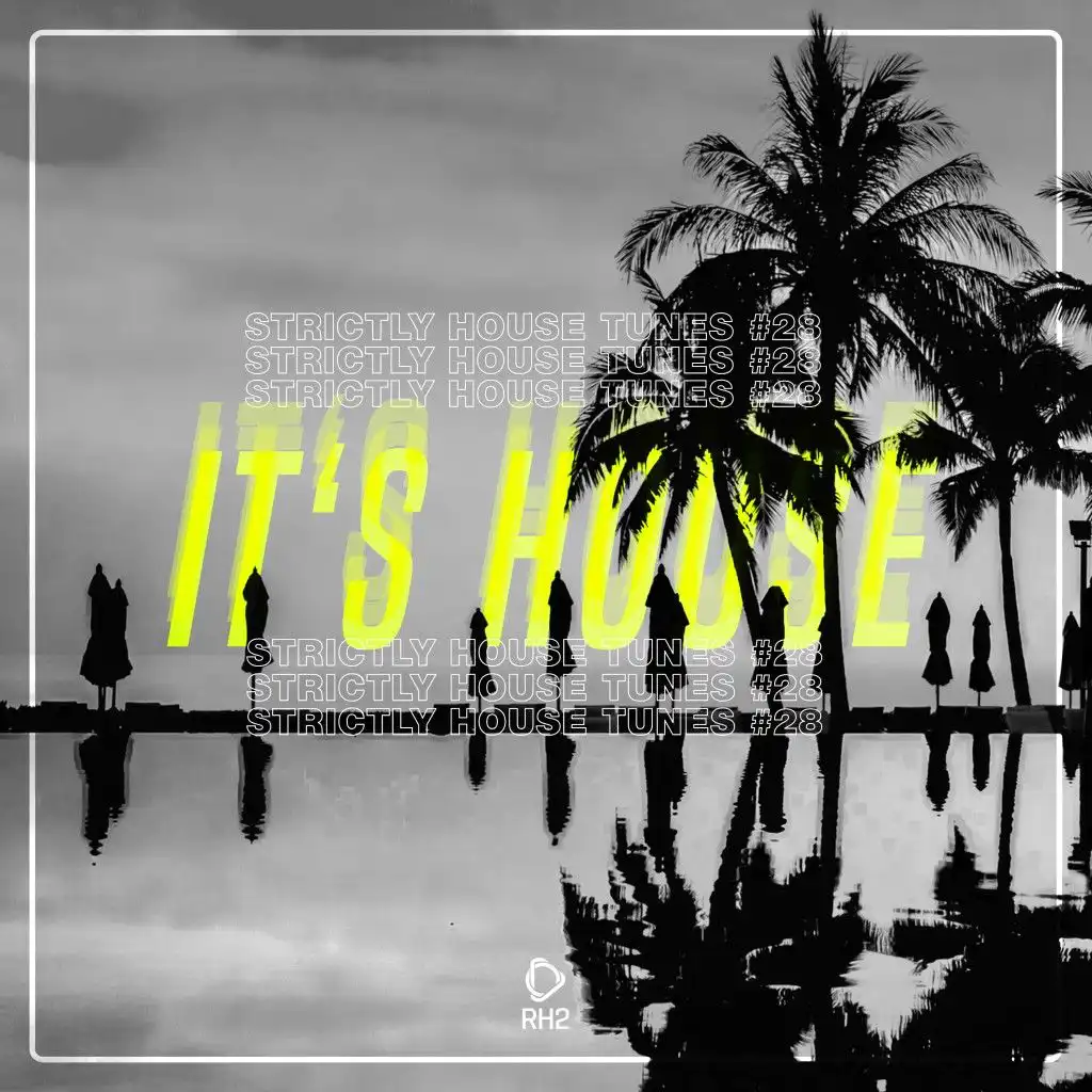 It's House - Strictly House, Vol. 28