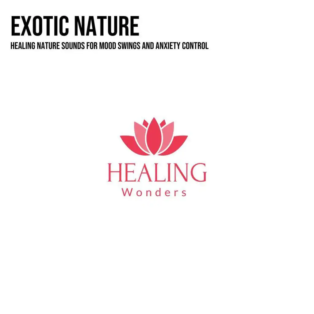 Welcoming the new day