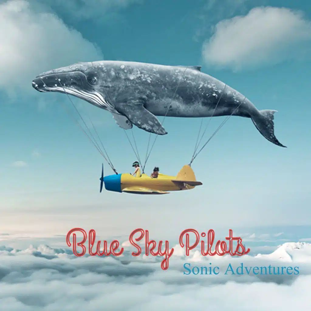 Blue Sky Pilots