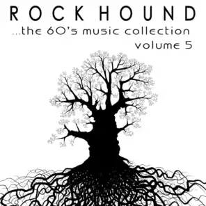 Rock Hound: The 60's Music Collection, Vol. 5