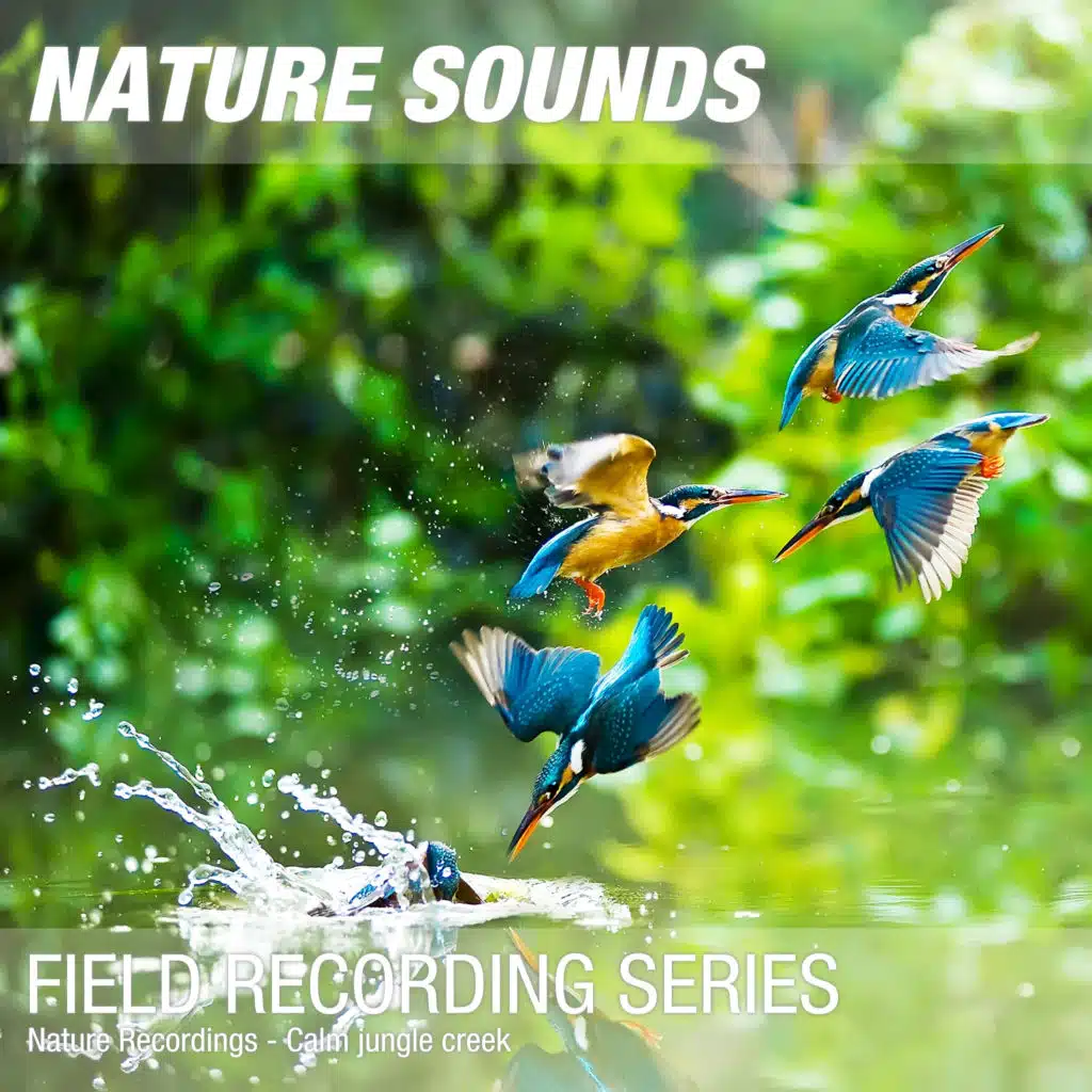 Nature Sounds for Sleep, Relaxation & Meditation (Blissful jungle) 11