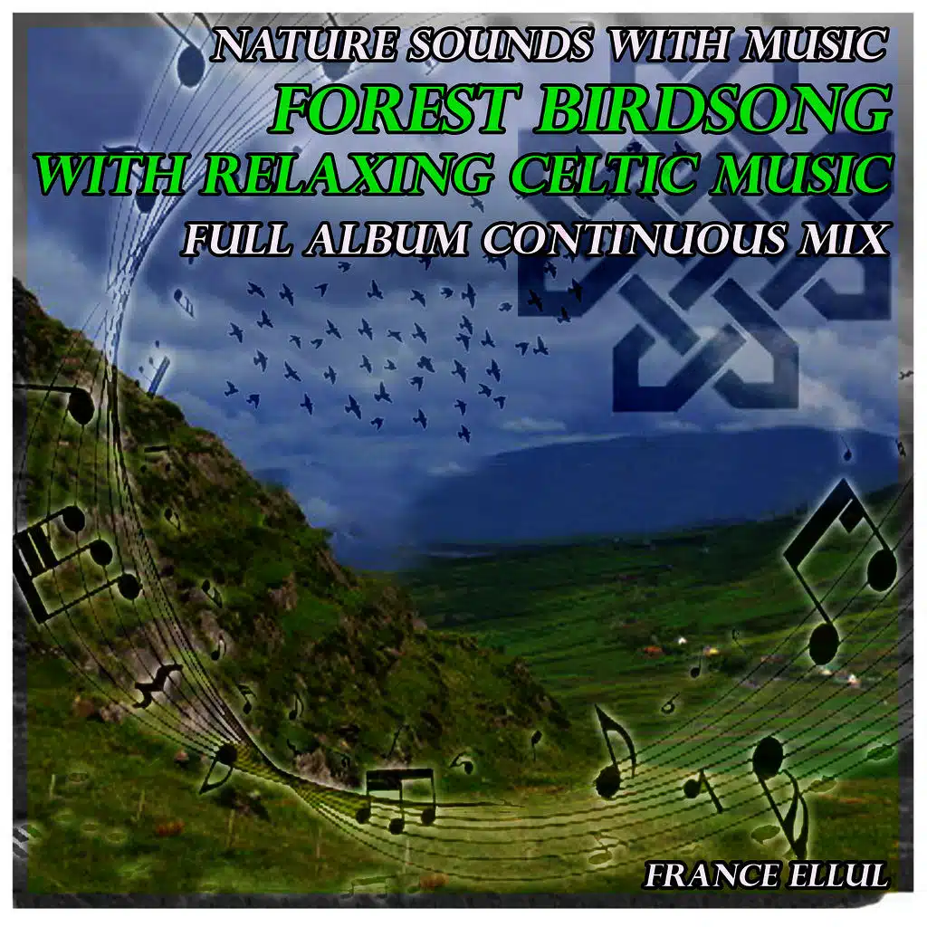 Sons de nature avec la musique: chant des oiseaux avec la musique celtique
