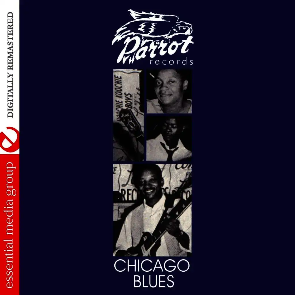 Chicago Blues [Parrot Blues]