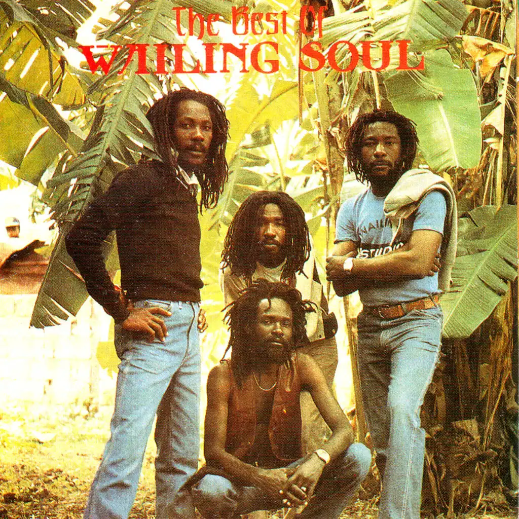 The Best of the Wailing Souls