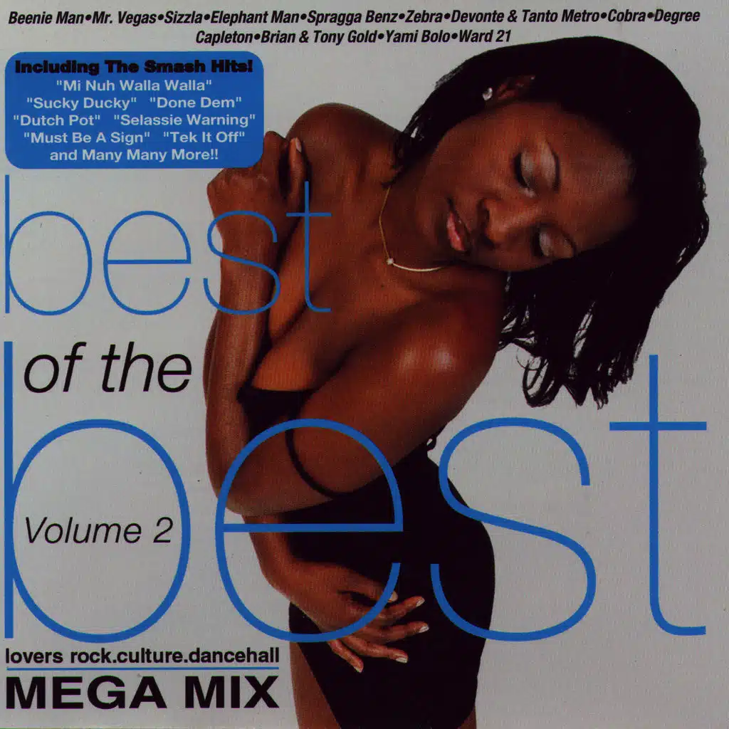 The Best Of The Best Volume 2