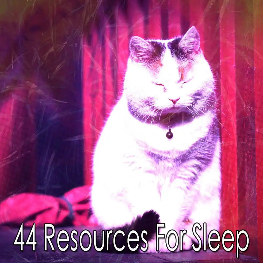 44 Resources for Sleep