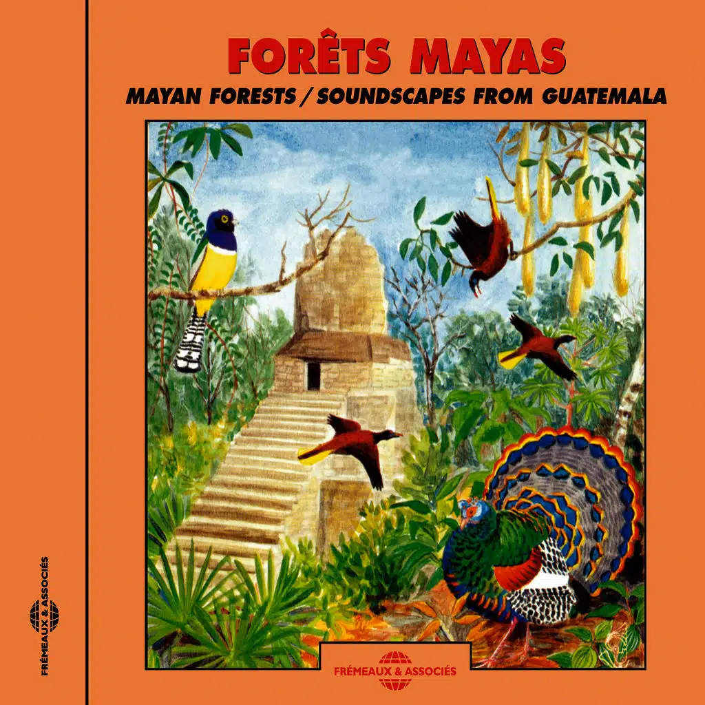 Forêts Maya