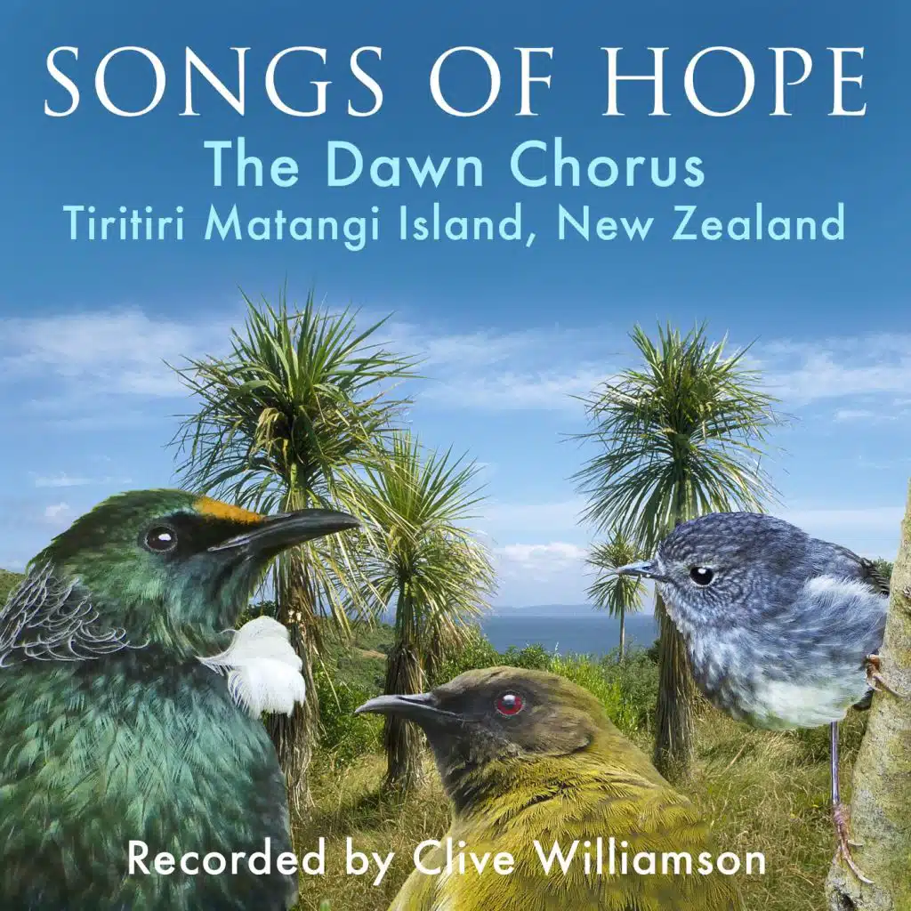 Songs of Hope: The Dawn Chorus, Tiritiri Matangi Island, New Zealand
