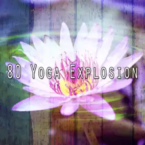 80 Yoga Explosion