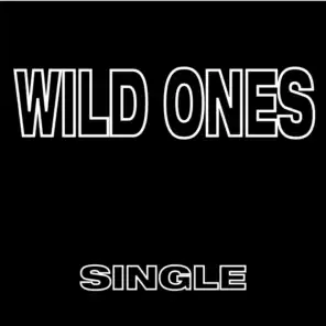 Wild Ones (Radio Edit)