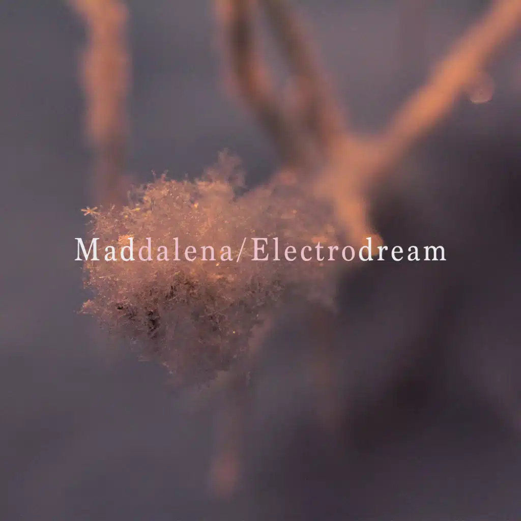 Electrodream