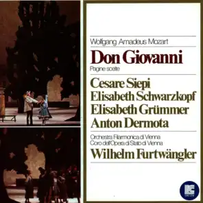 Don Giovanni: "Fuggi, crudele, fuggli"