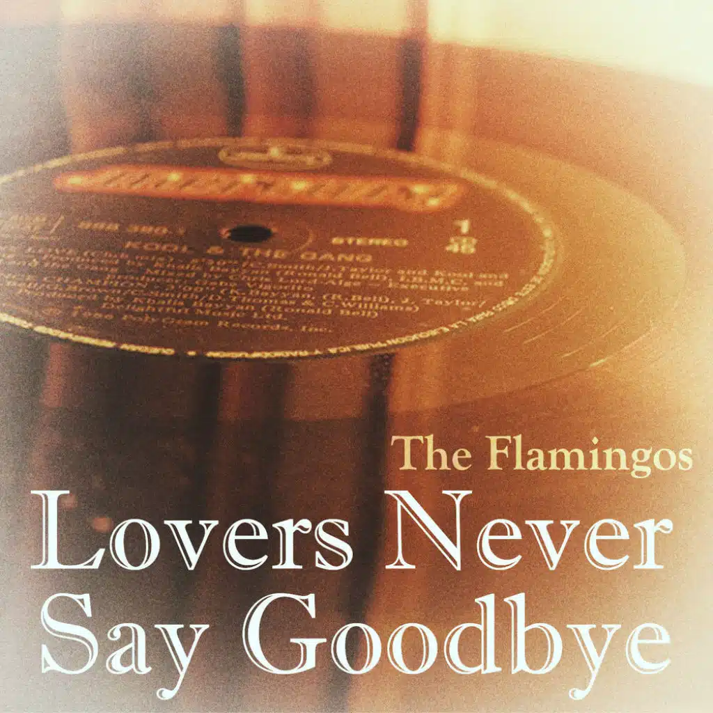 Lovers Never Say Goodbye