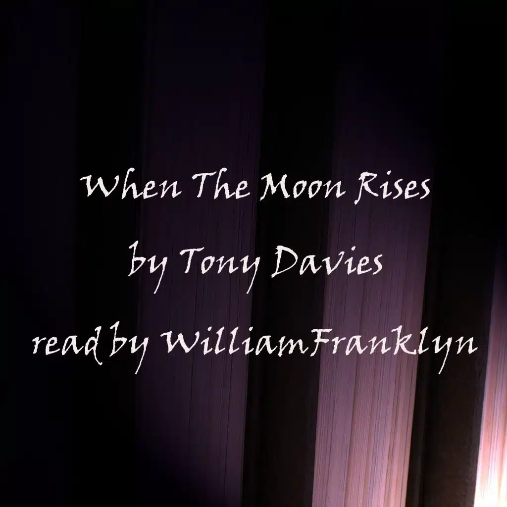When The Moon Rises