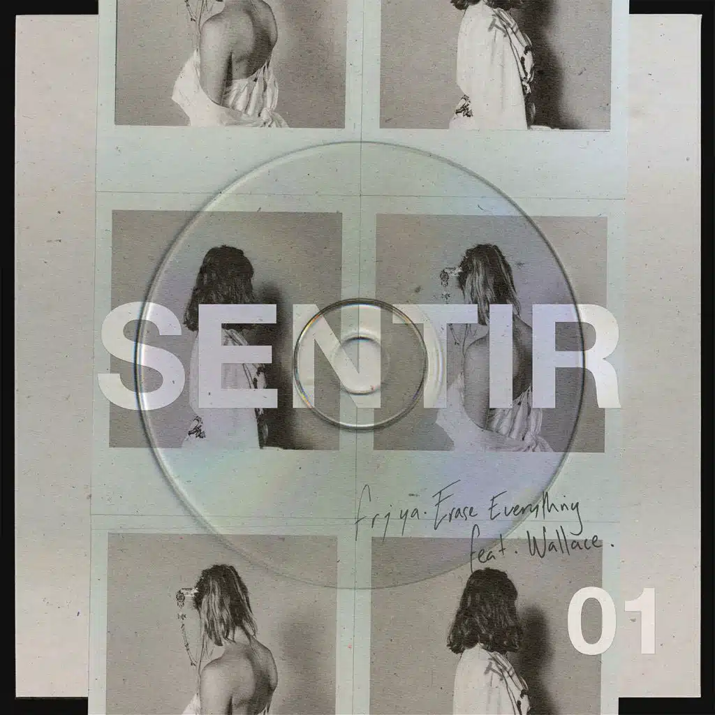 Erase Everything (feat. Wallace)