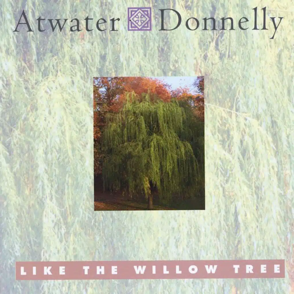 Like the Willow Tree
