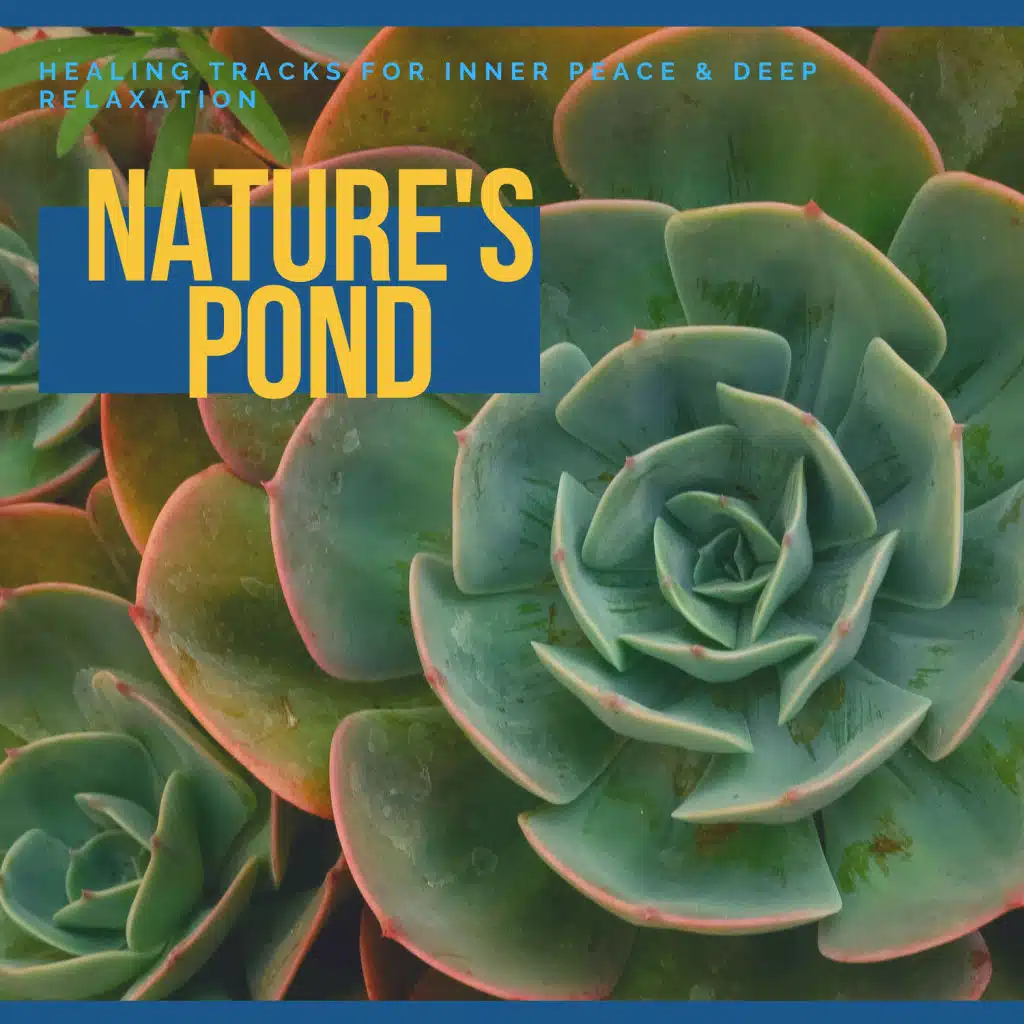 Nature's Pond - Healing Tracks For Inner Peace & Deep Relaxation