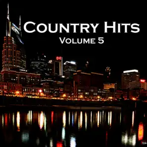 Country Hits Volume 5
