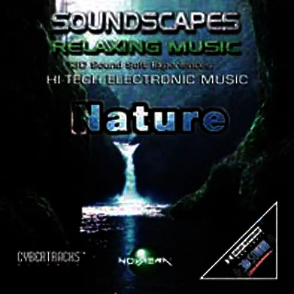 Synopsis-The Silent Moon