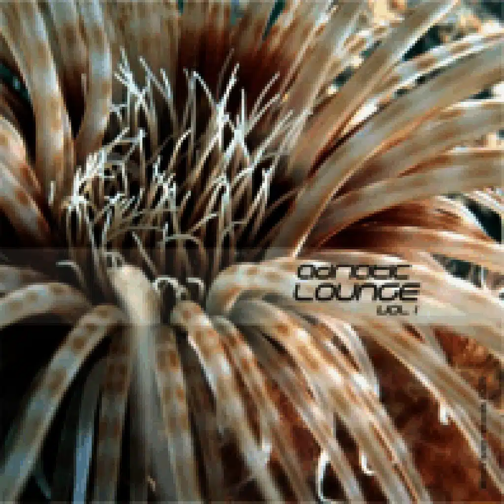 Adriatic Lounge Vol.1