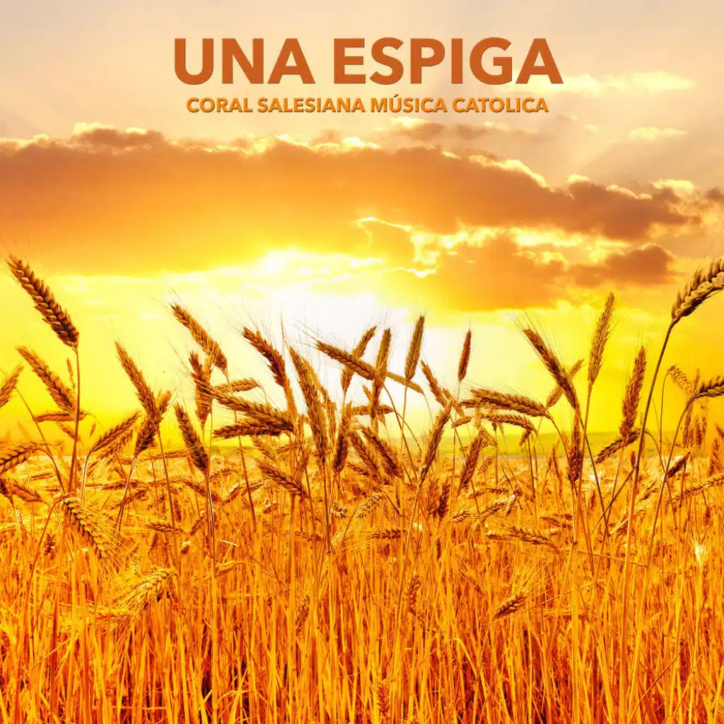 Un Pueblo Que Camina