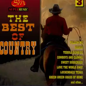 The Best Of Country Vol 3
