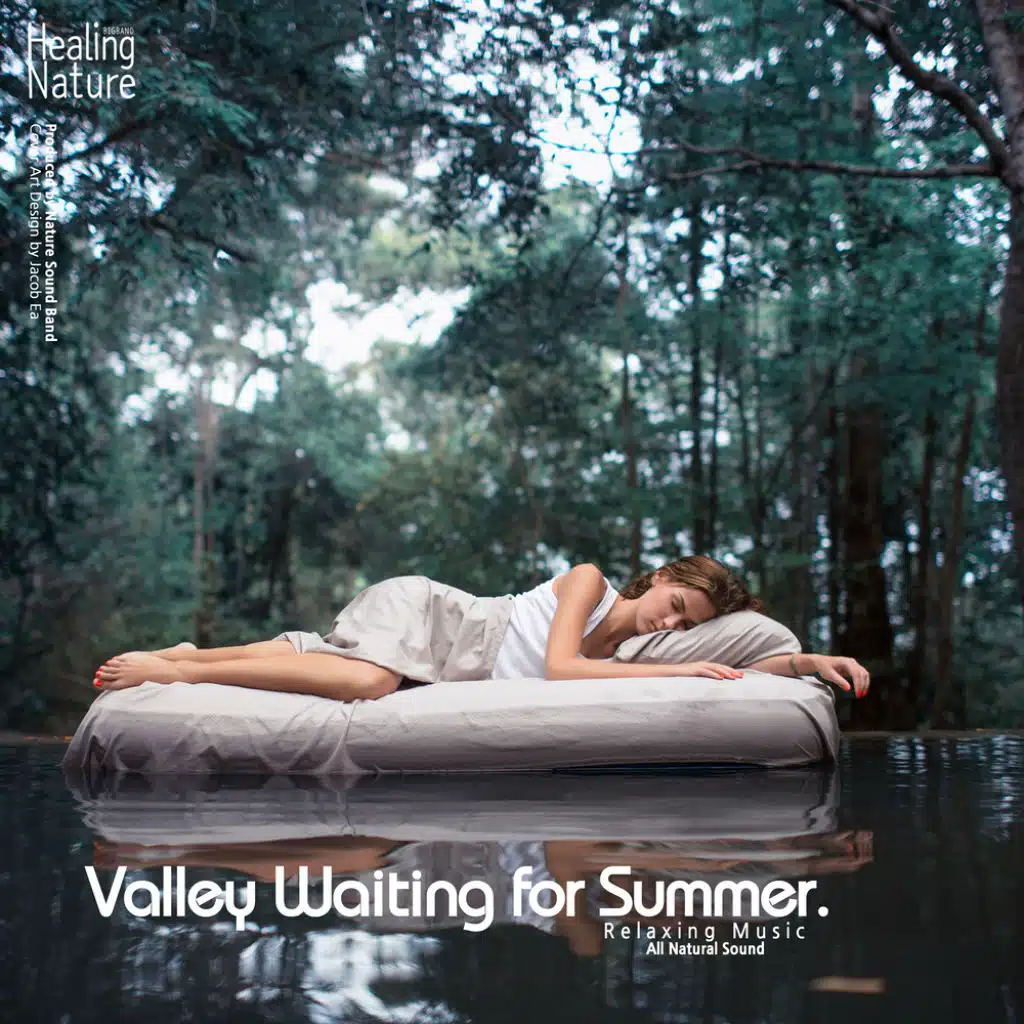 Valley Waiting for Summer (Relaxation, Relaxing Muisc, White Noise, Insomnia, Deep Sleep, Meditation, Concentration, Lullaby, Prenatal Care, Healing, Memorization, Yoga, Spa)