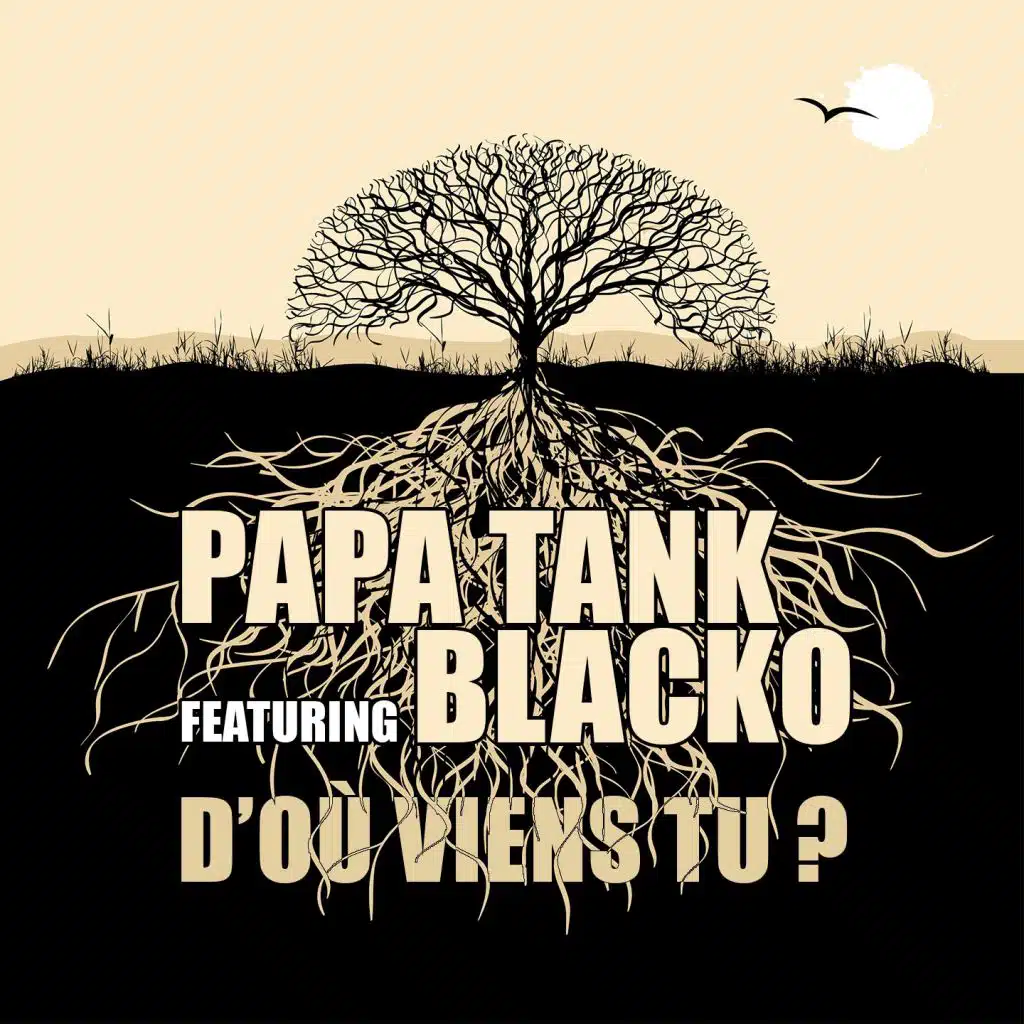 D'où viens tu ? (feat. Blacko)