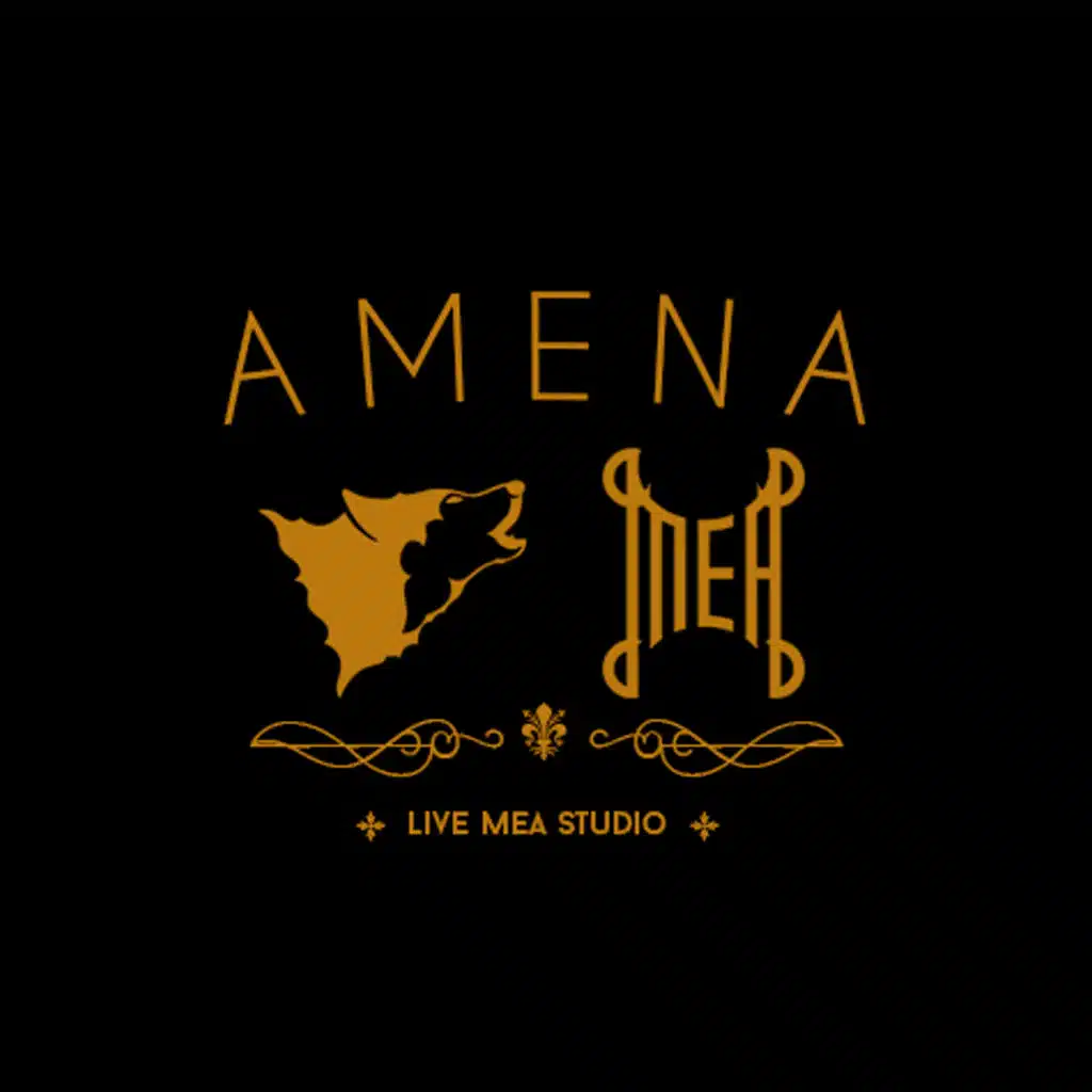 Live Mea Studio