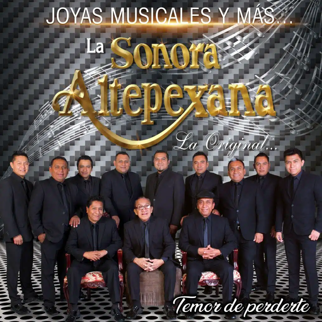 Temor de Perderte (Joyas Musicales y Más)