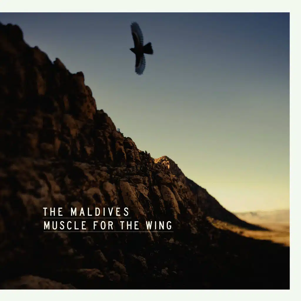 Muscle For The Wing