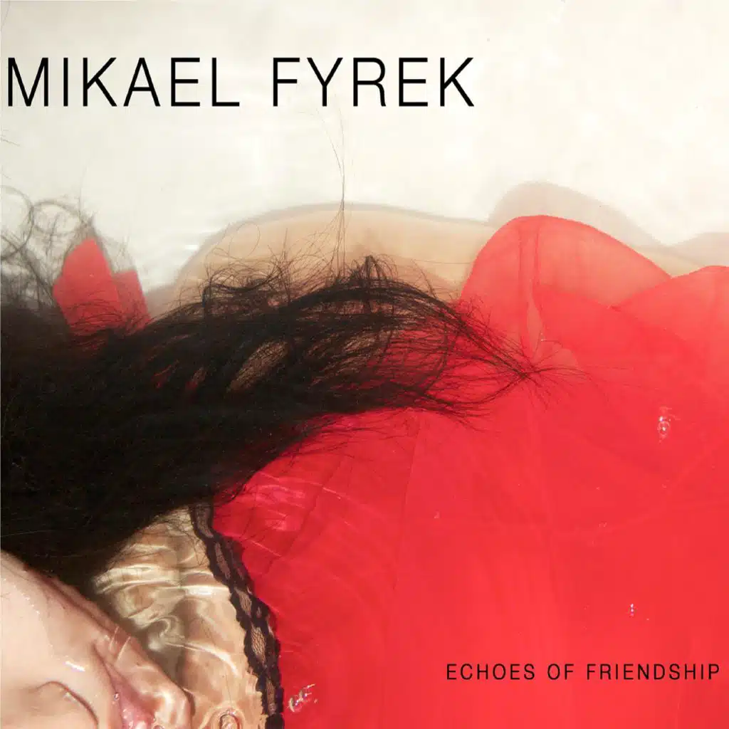 Echoes of Friendship