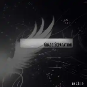 Grade Separation
