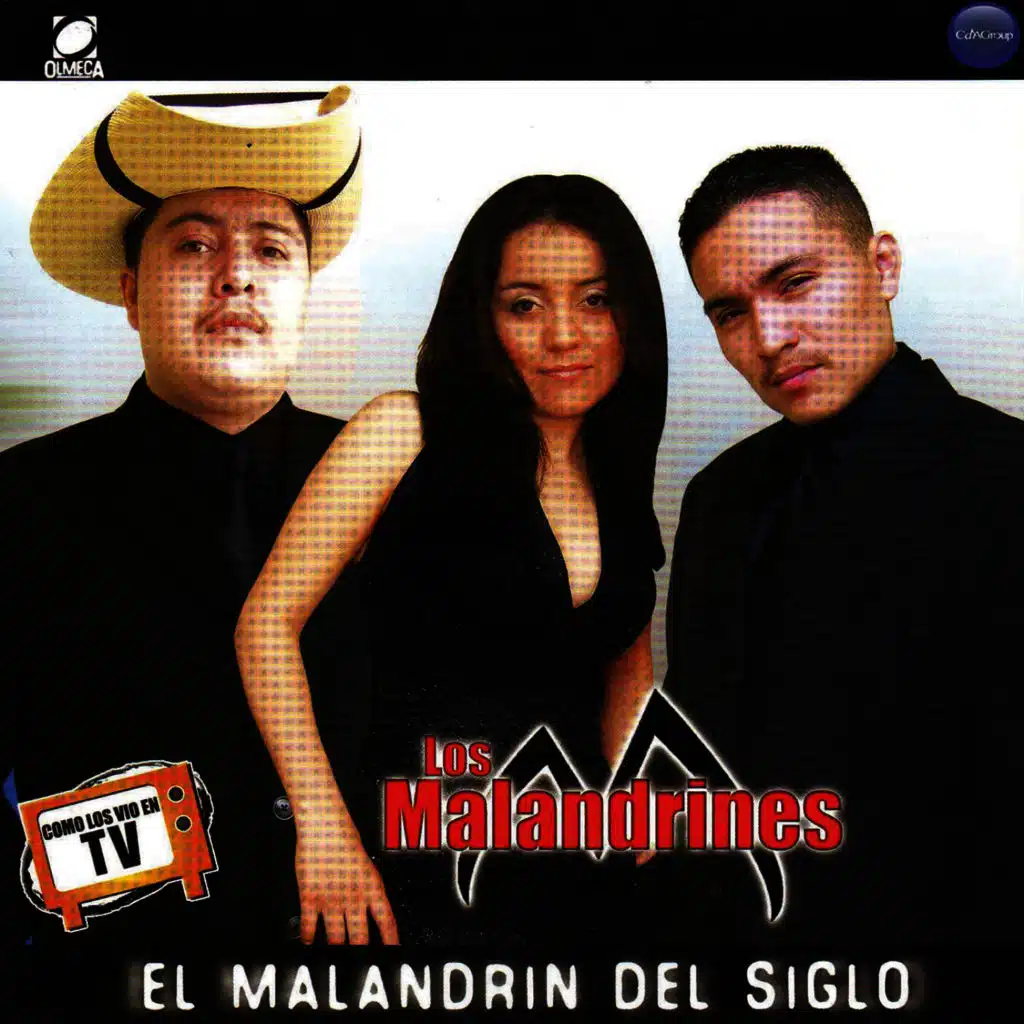 El Malandrin del Siglo