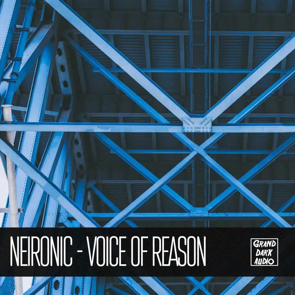 Voice of Reason