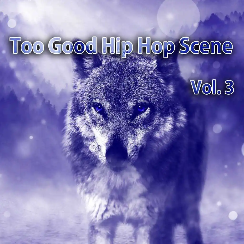 Too Good Hip Hop Scene, Vol. 3