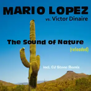 The Sound of Nature (Chris SX Psynature Edit)