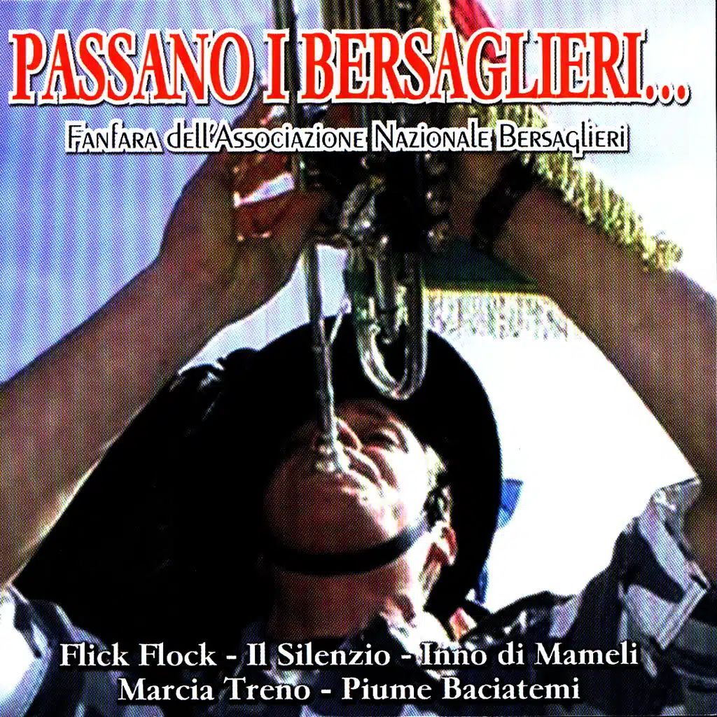 Fanfara Dell'Associazione Nazionale