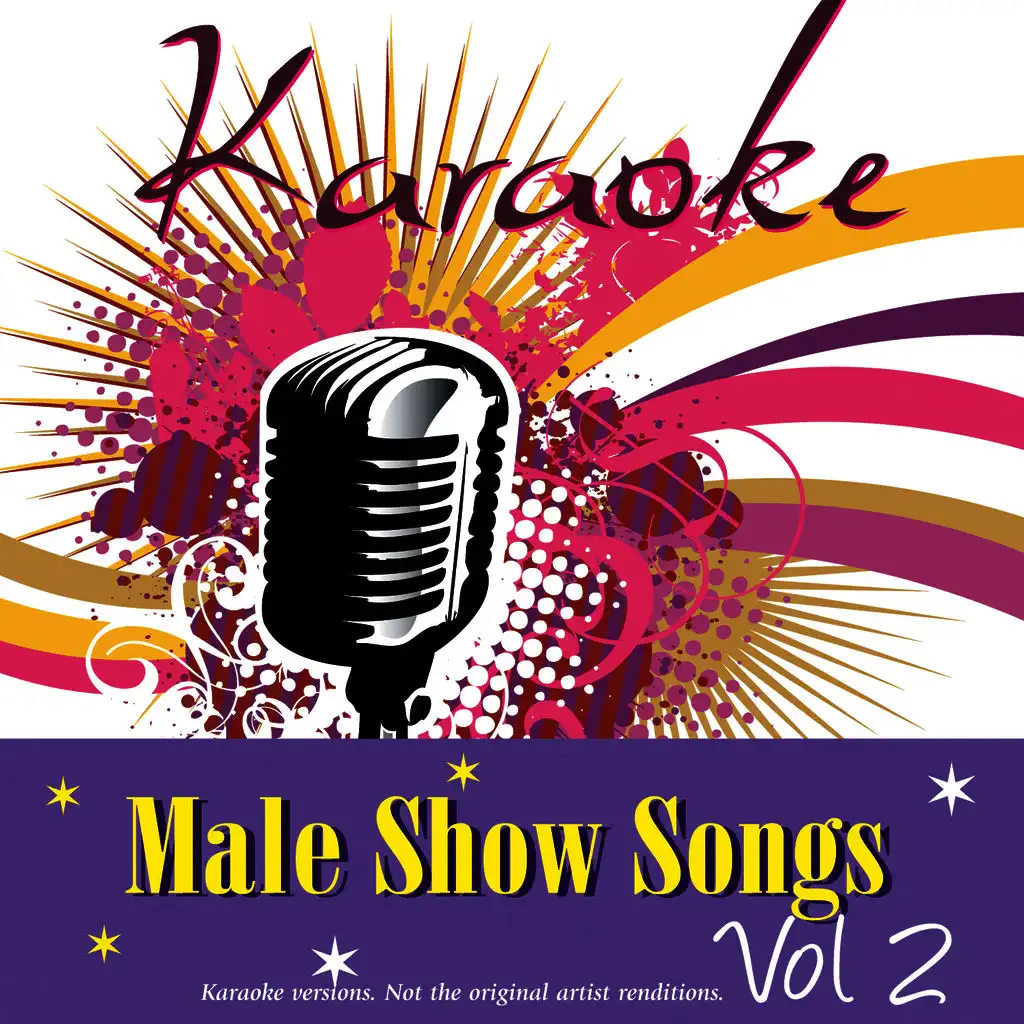 Karaoke - Male Show Songs Vol.2
