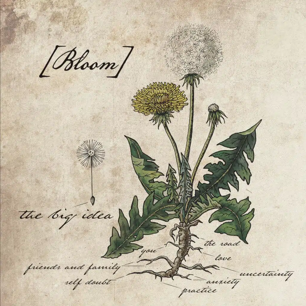 Bloom