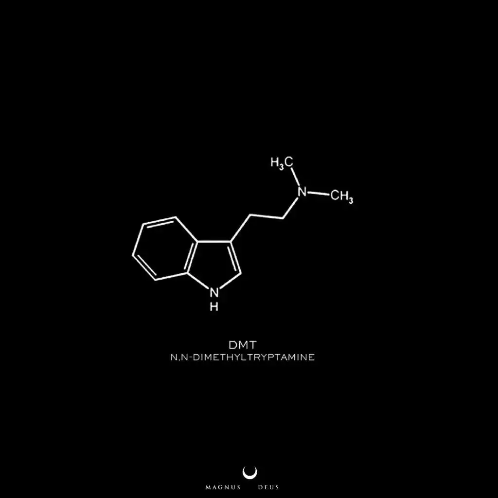 Dimethyltryptamine NN DMT EP