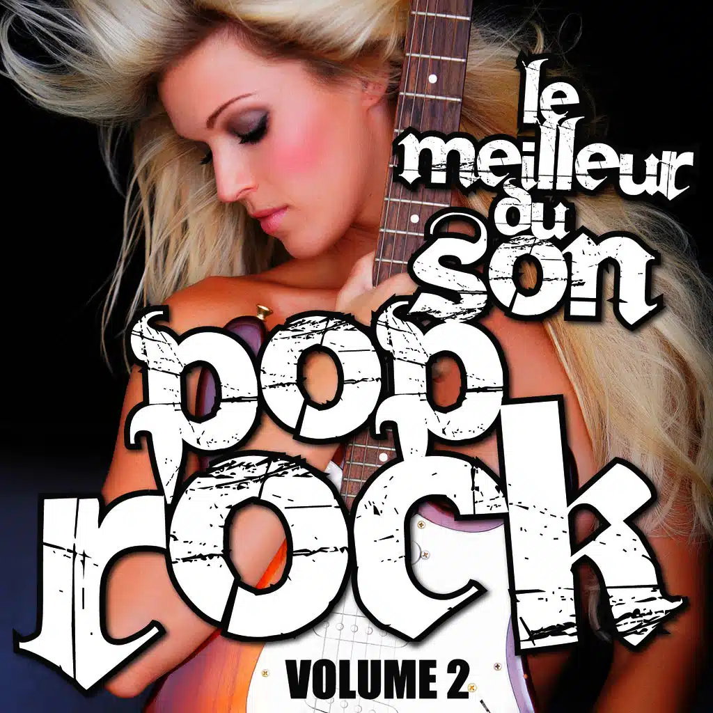 Le Meilleur Du Son Pop Rock Vol. 2