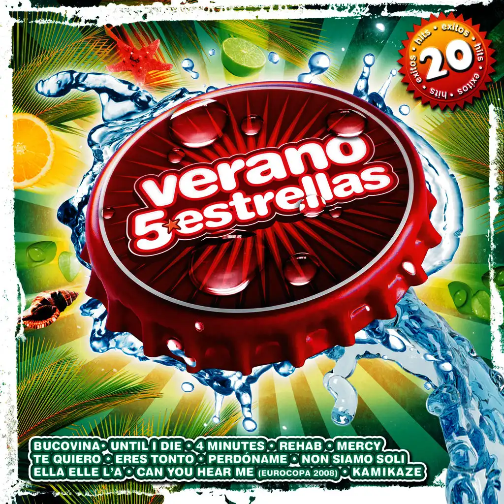 Verano 5 estrellas 2008