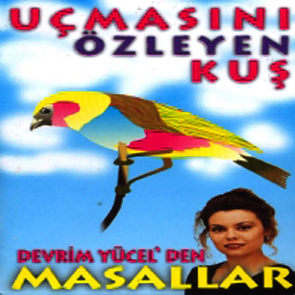 Miyavlar İle Pisipisiler