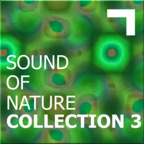 Sound of the nature – collection 3