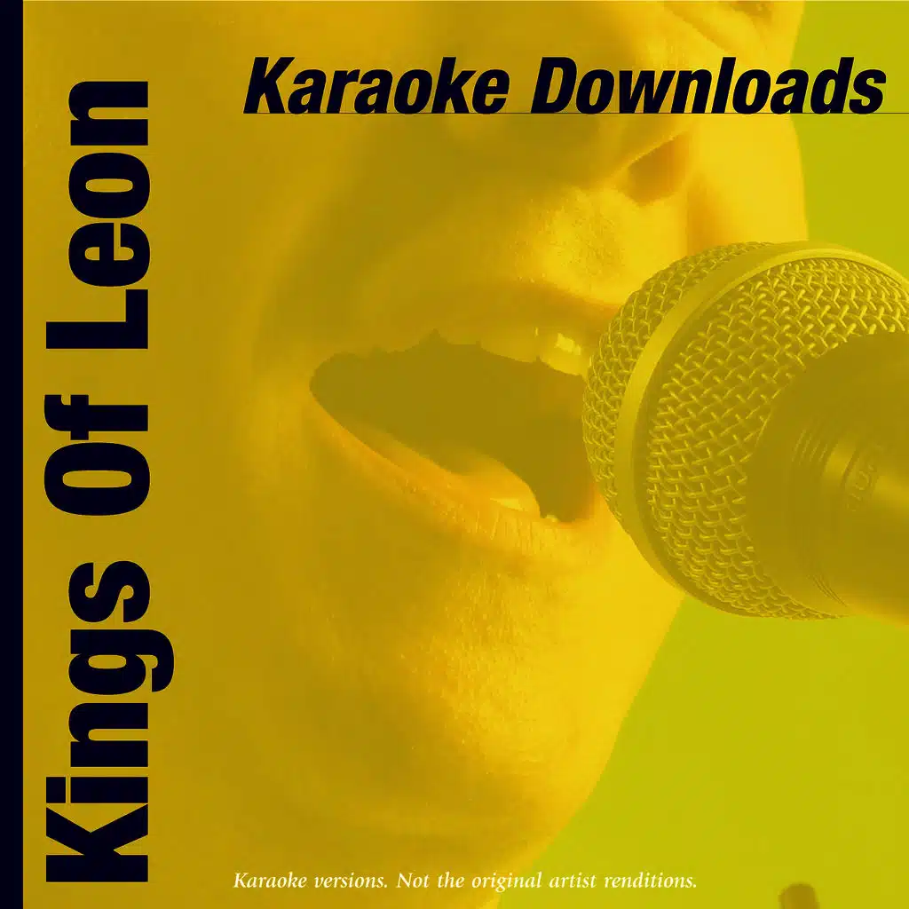 Use Somebody (In The Style Of Kings Of Leon)