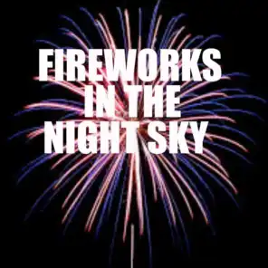 Fireworks In The Night Sky
