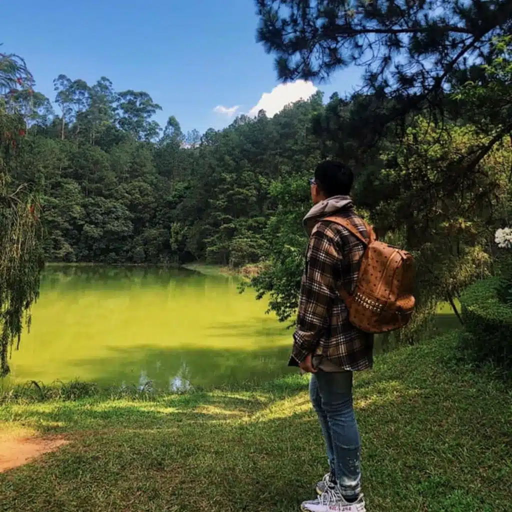 Summer Night (Instrumental)