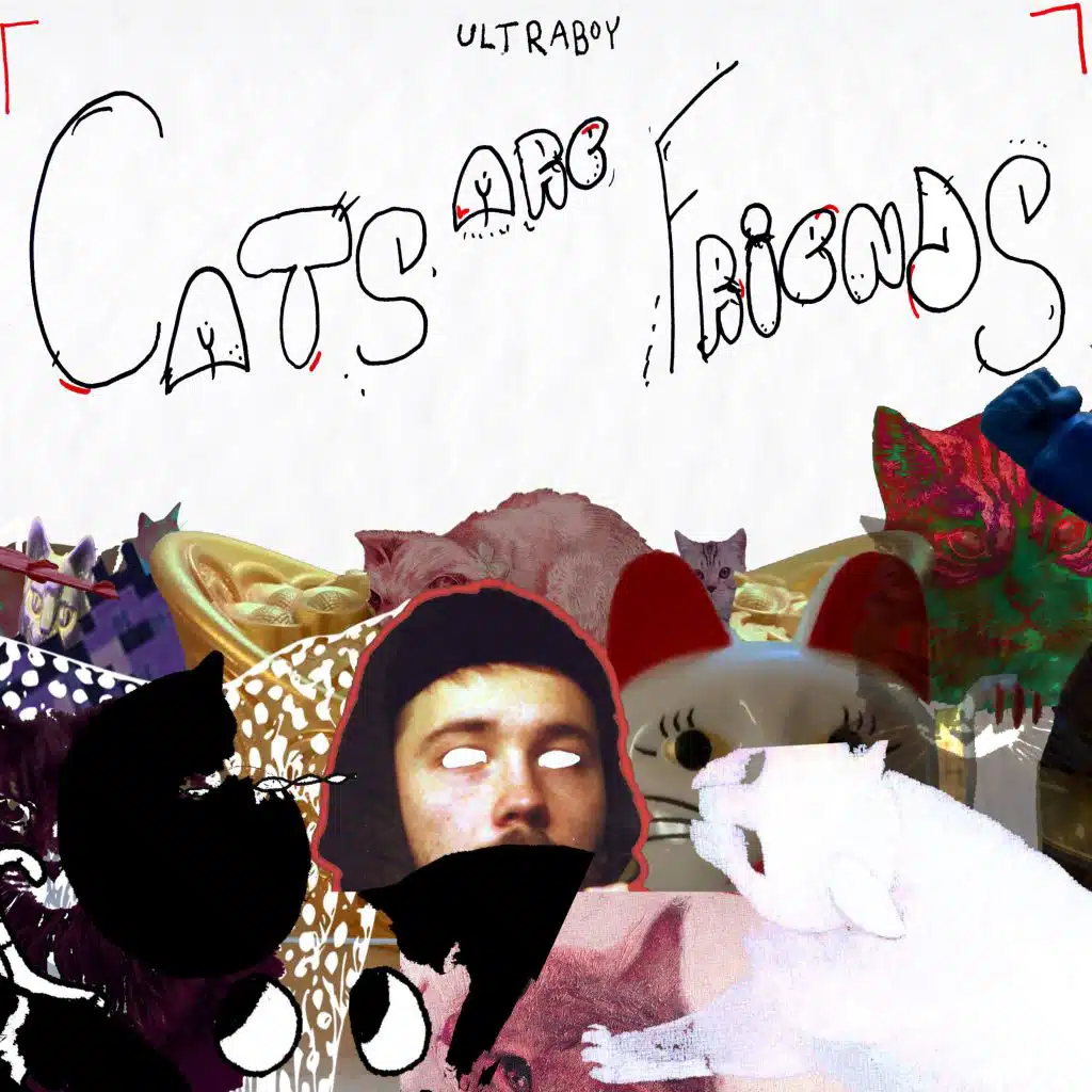 Cats Are Friends