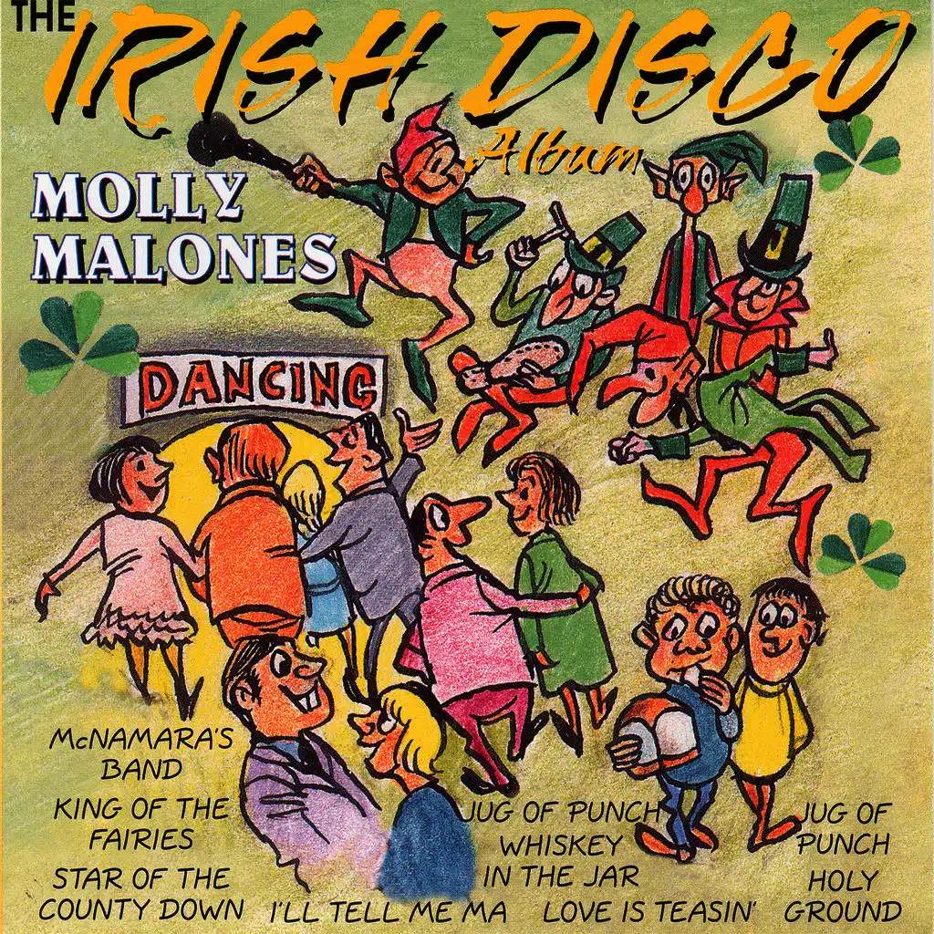 The Irish Disco Album